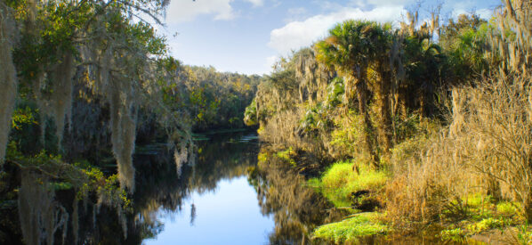 Alafia River