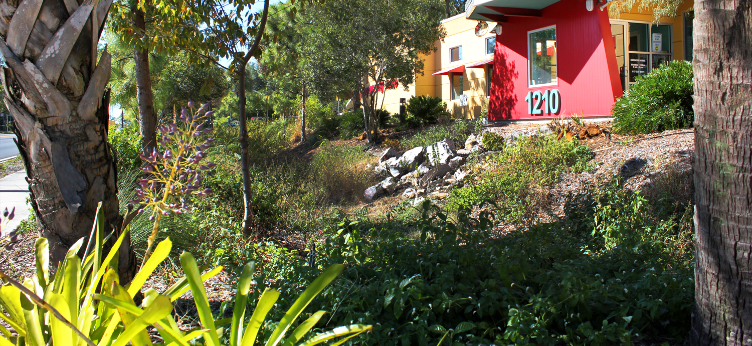 Florida-friendly industrial landscape