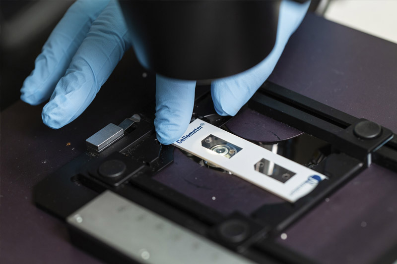 Closeup of slide in the microbiology section of Tampa Bay Water's State-certified laboratory