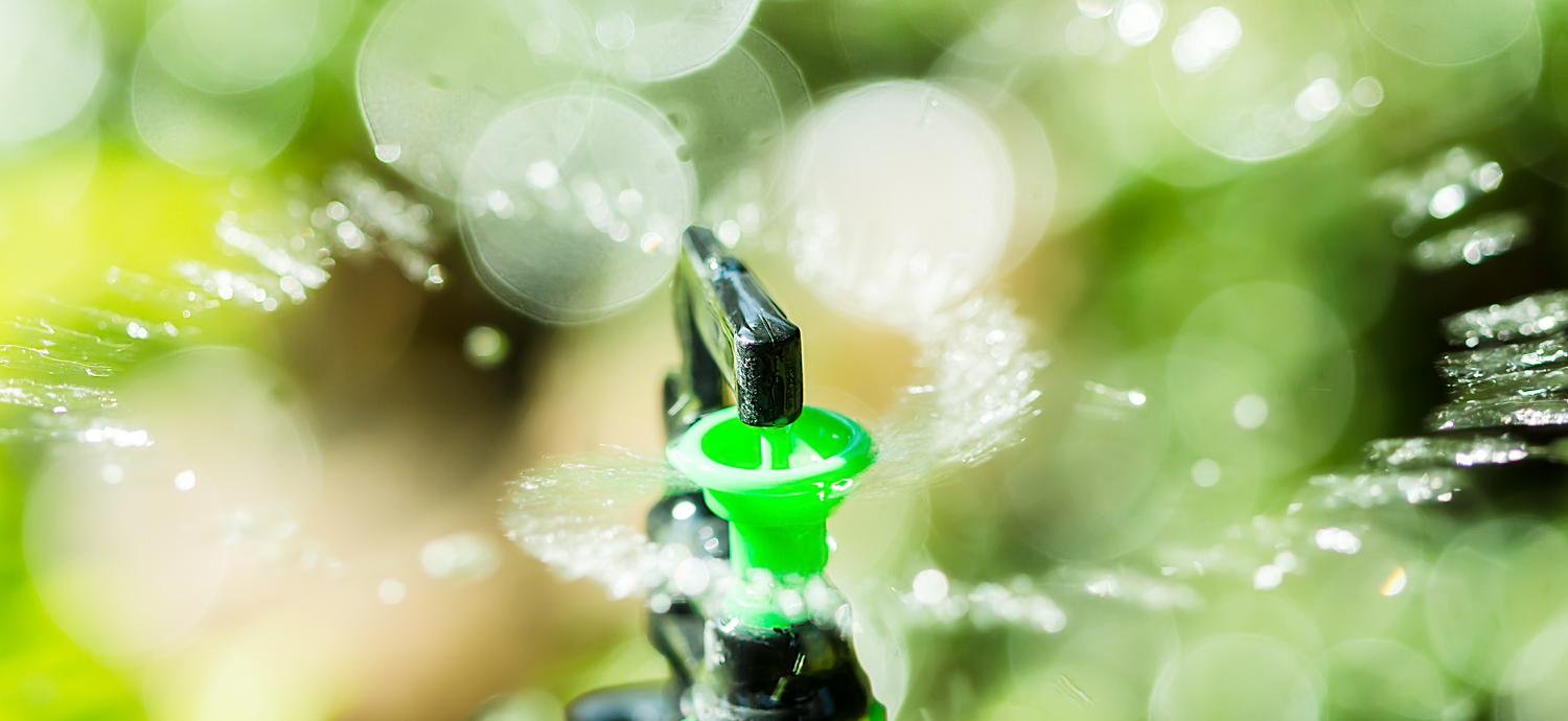 Closeup of sprinkler head