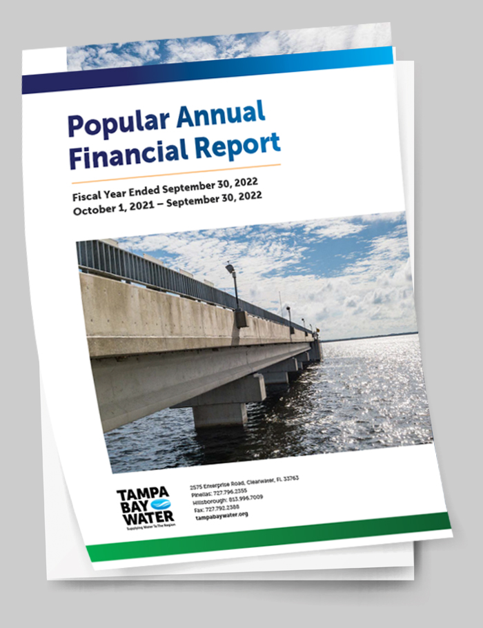 Popular Annual Financial Report Cover