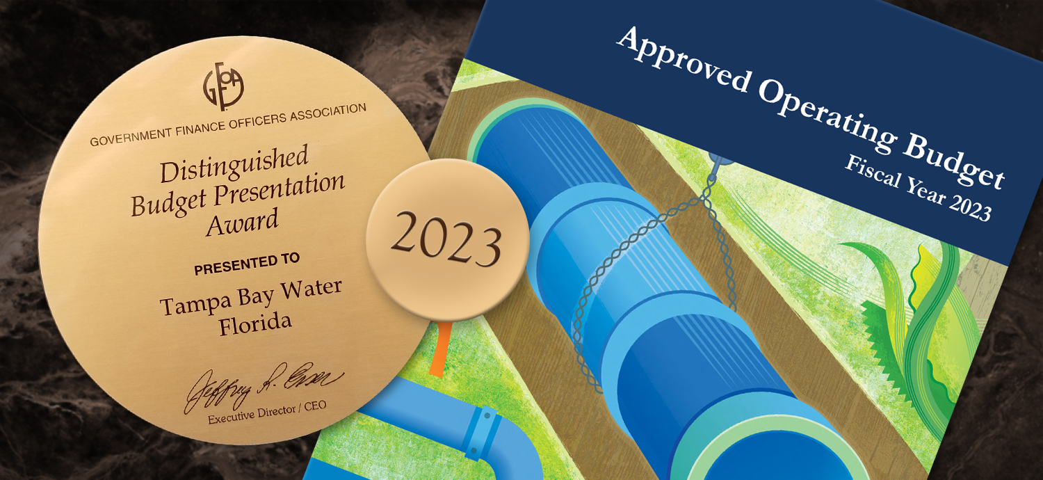 GFOA award medallion and fiscal year 2023 approved budget cover
