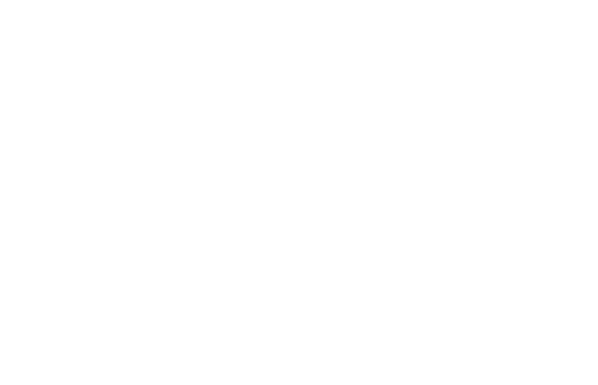 City of St. Petersburg logo