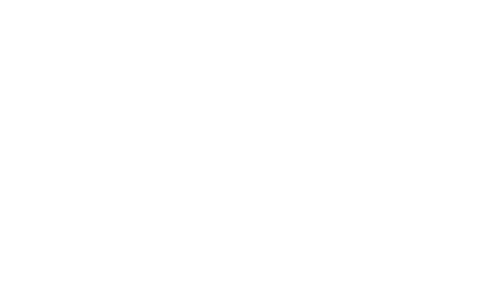 City of Tampa logo